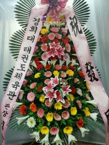 8��12��(��)