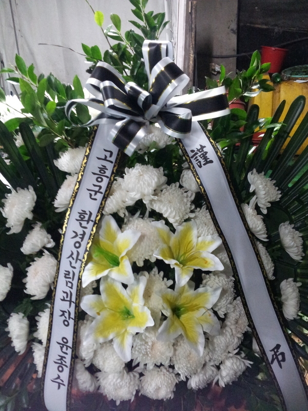 8��12��(��)