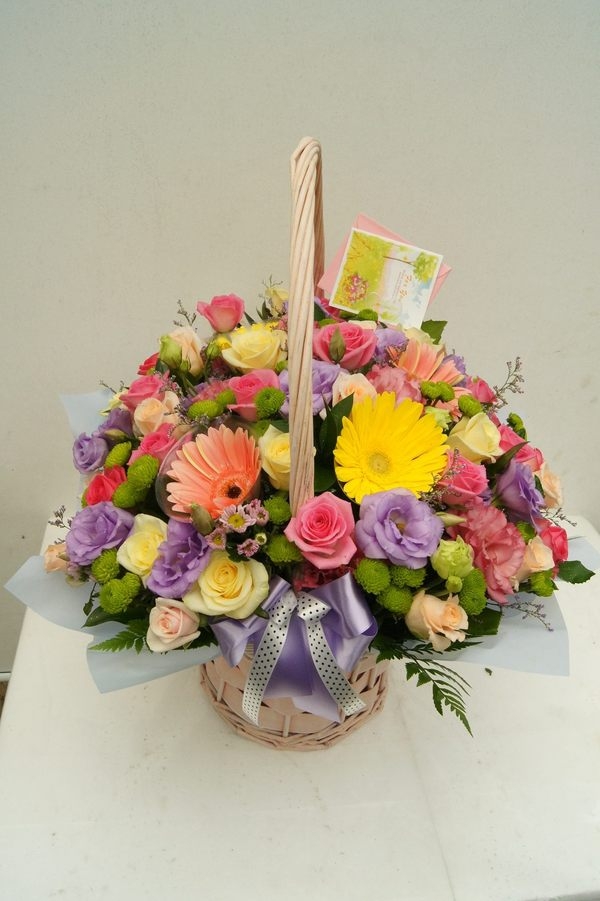 8��12��(��)