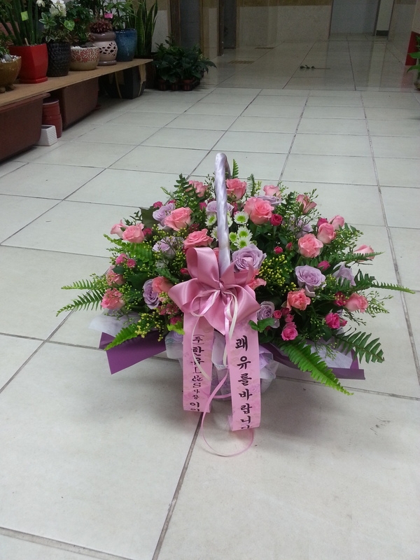 8��15��(������)