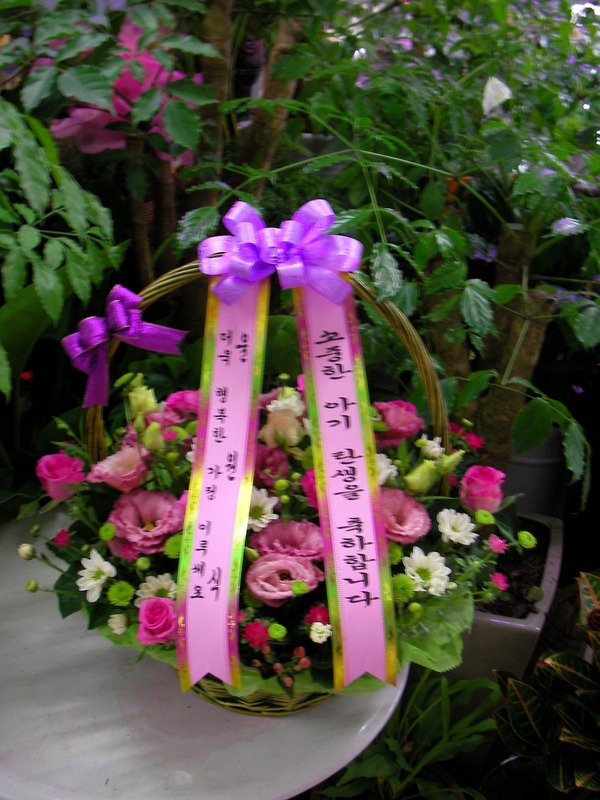 8��15��(������)