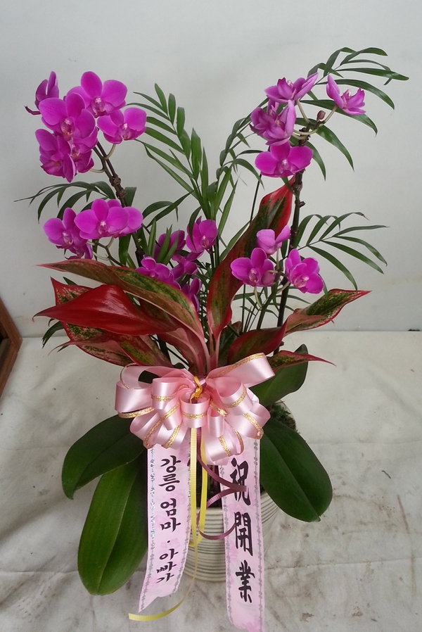 8��20��(ȭ����)