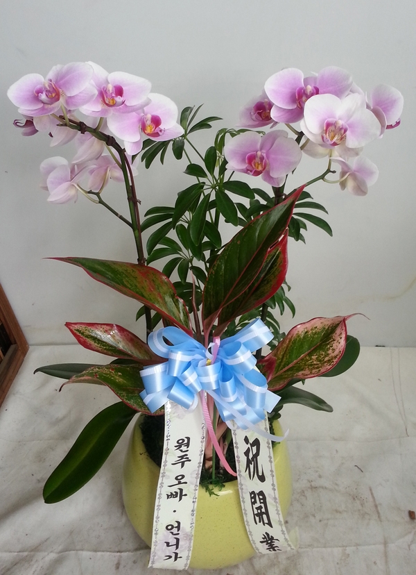 8��20��(ȭ����)