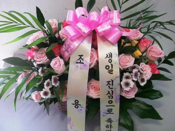 8��20��(ȭ����)