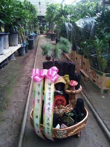 8��20��(ȭ����)