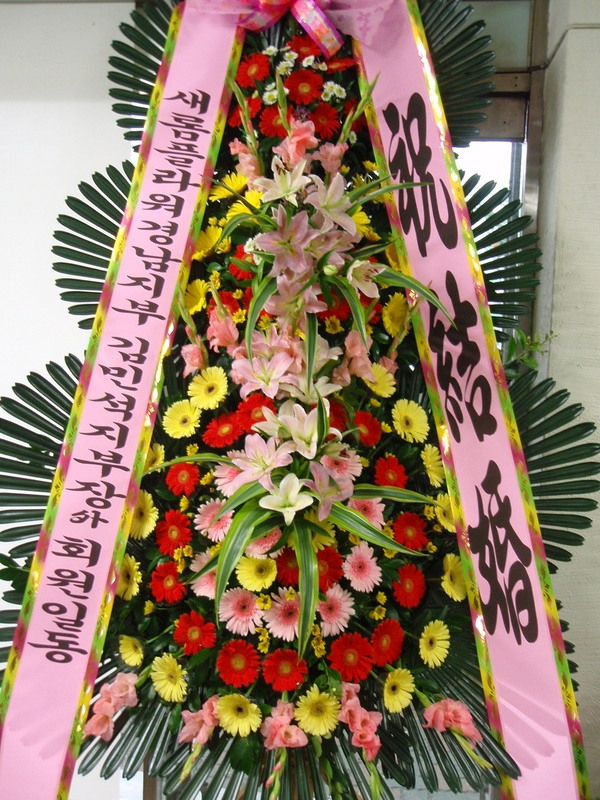 8��25��(�Ͽ���)