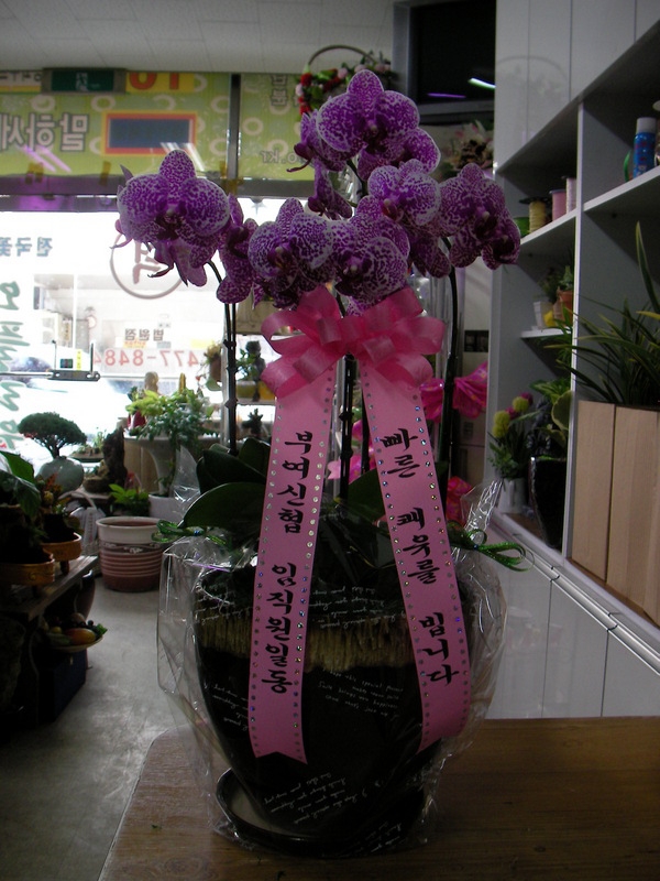 8��25��(�Ͽ���)