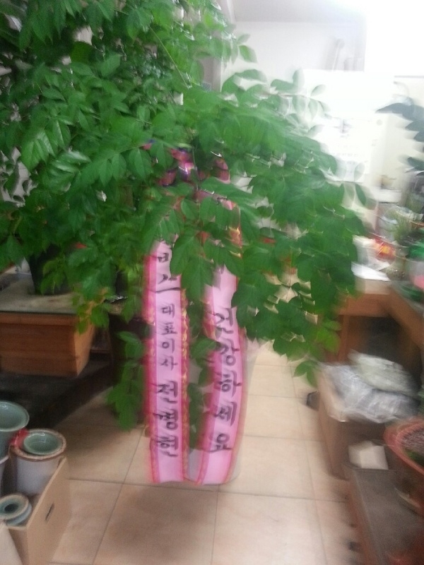 8��25��(�Ͽ���)