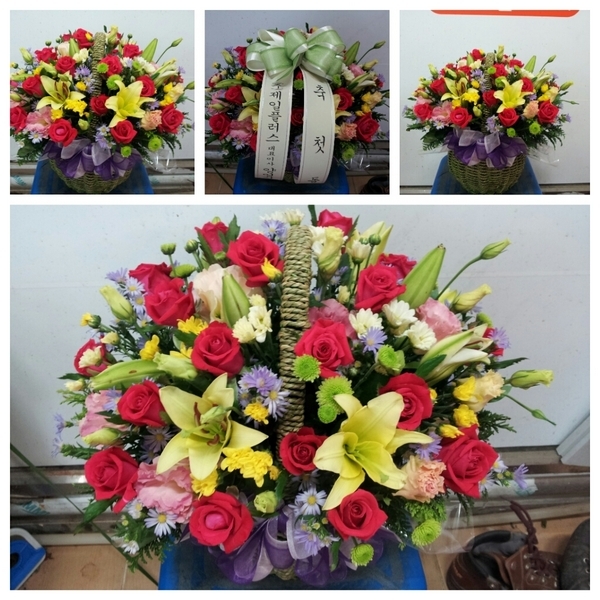 8��25��(�Ͽ���)