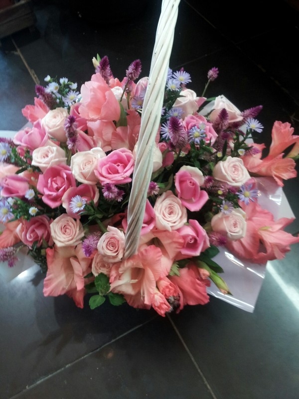 8��25��(�Ͽ���)