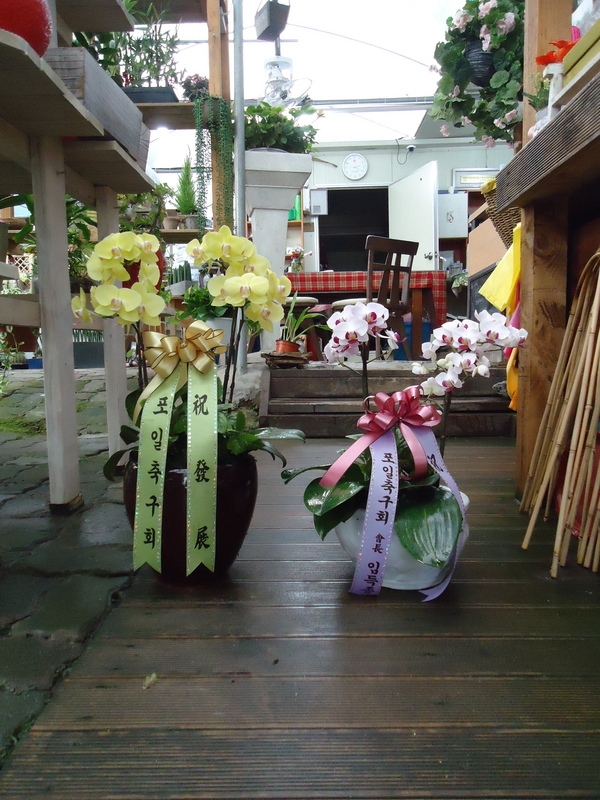 8��25��(�Ͽ���)