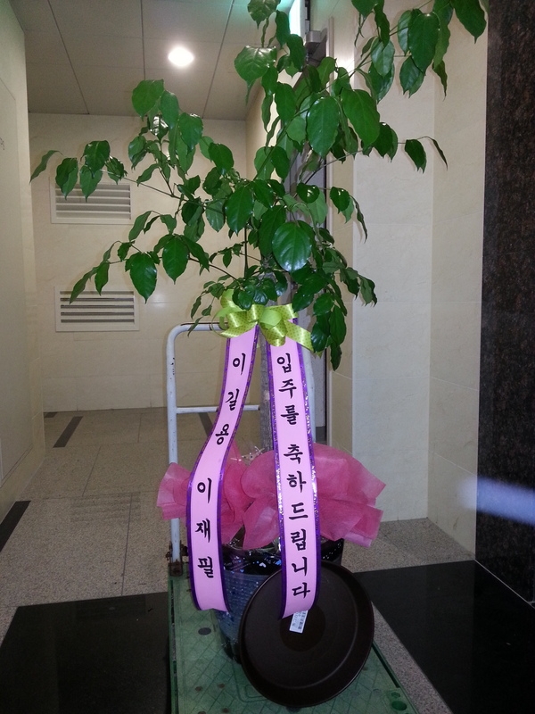 8��25��(�Ͽ���)