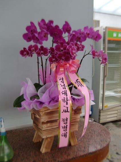 8��29(�ݿ���)