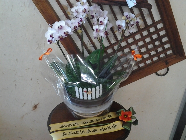 8��29(�ݿ���)