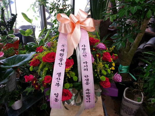 8��29(�ݿ���)