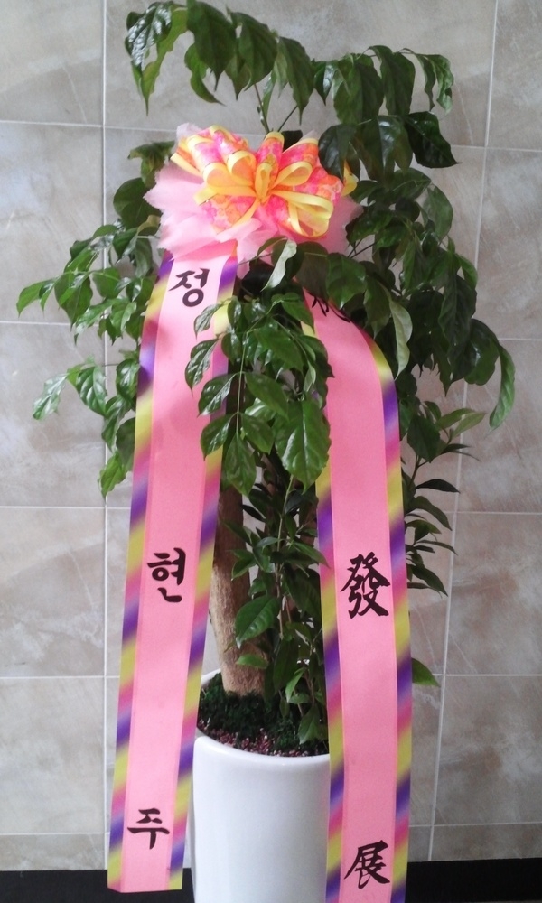 8��29(�ݿ���)