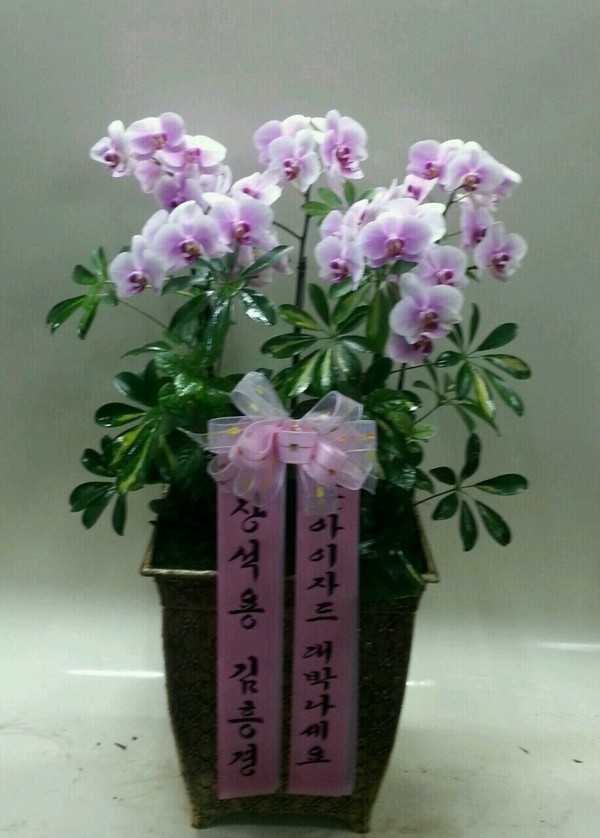 8��29(�ݿ���)