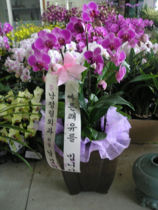 8��29(�ݿ���)