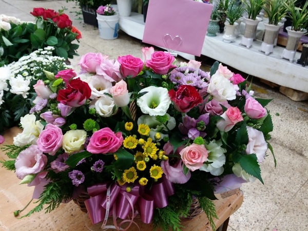 8��29(�ݿ���)