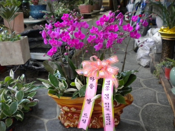 8��29(�ݿ���)