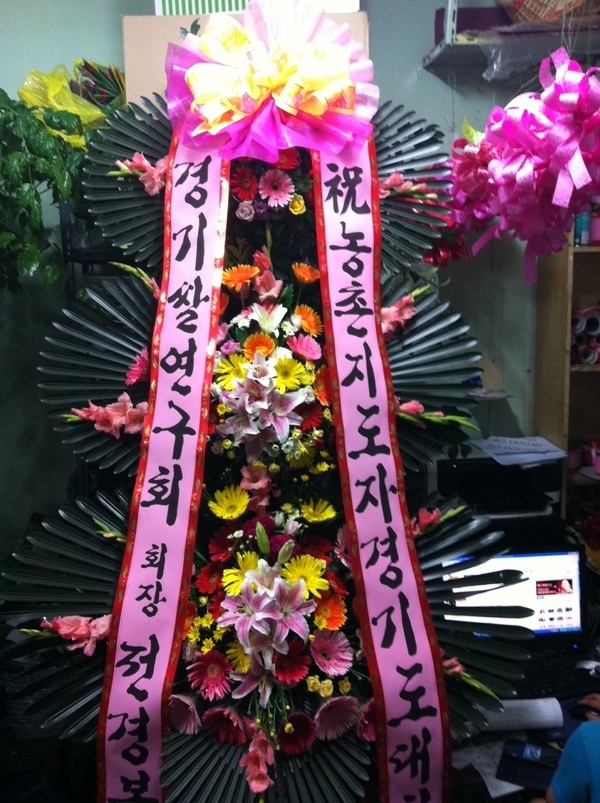 8��29(�ݿ���)