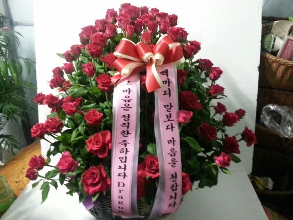 8��29(�ݿ���)