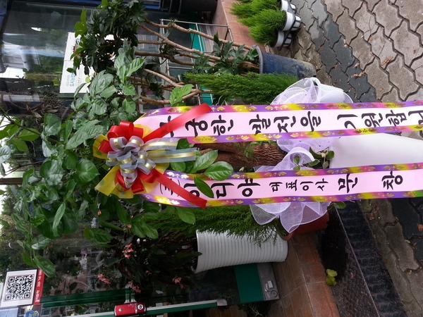 8��29(�ݿ���)