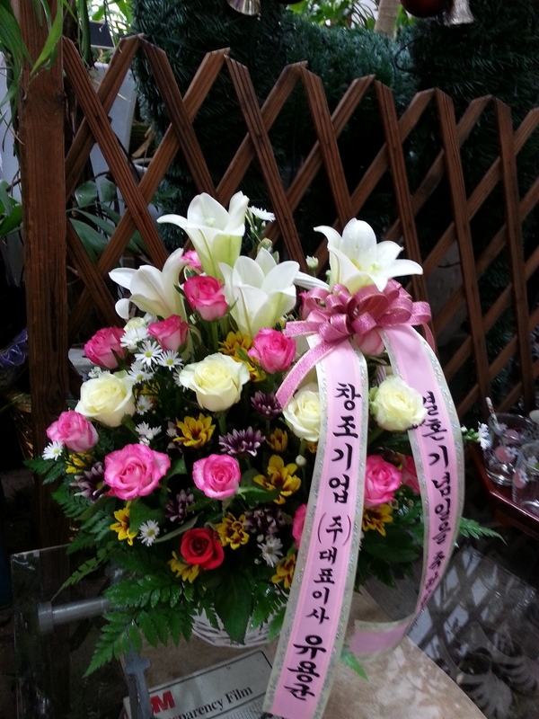 8��29(�ݿ���)