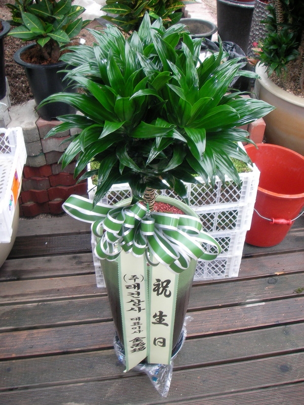 8��29(�ݿ���)