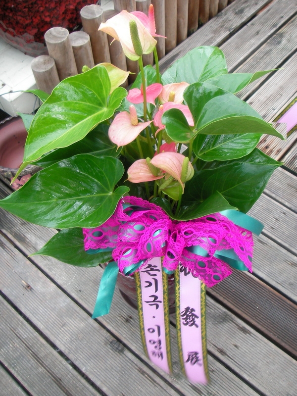 8��29(�ݿ���)