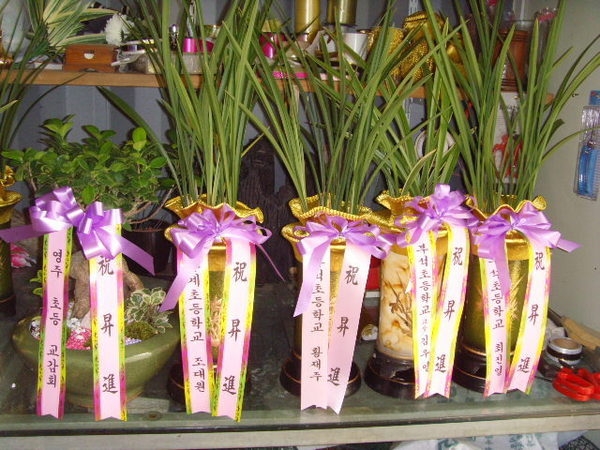 9��2��(������)