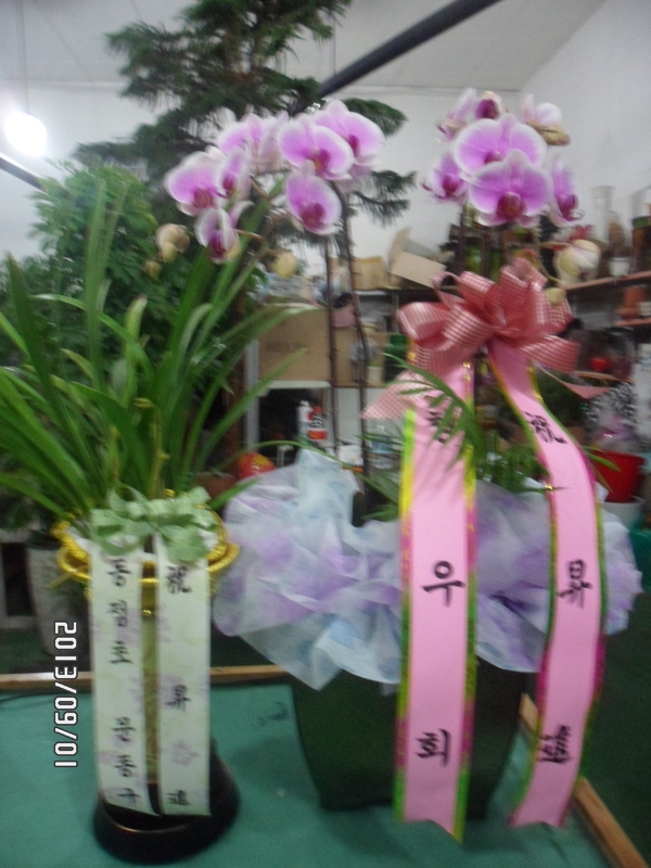 9��2��(������)