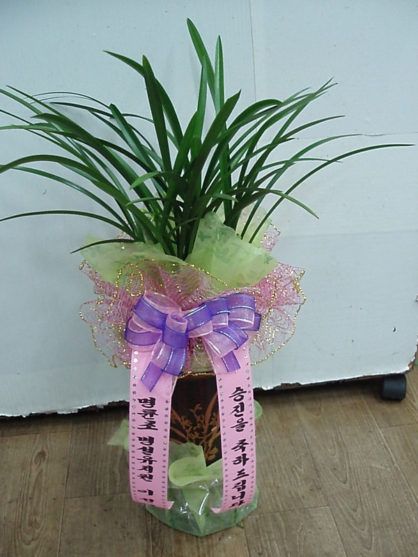 9��2��(������)