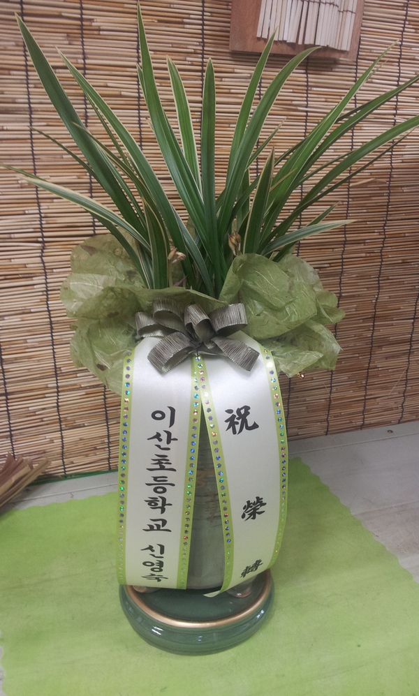 9��2��(������)