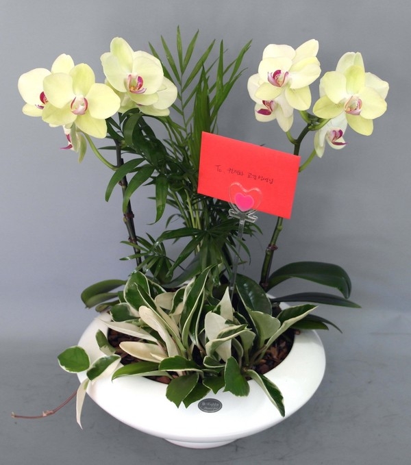 9��2��(������)