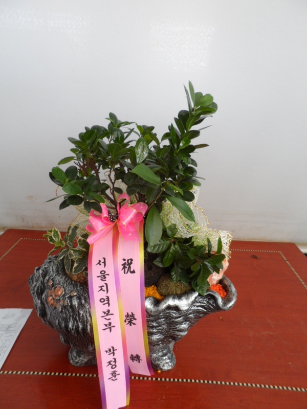 9��2��(������)