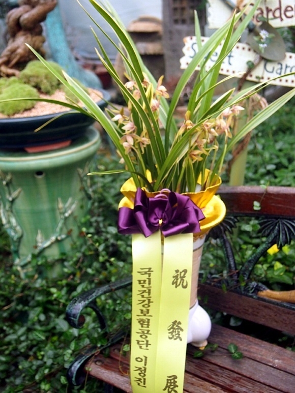 9��2��(������)