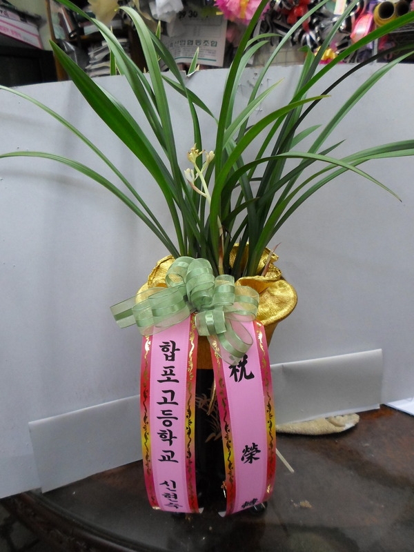 9��2��(������)