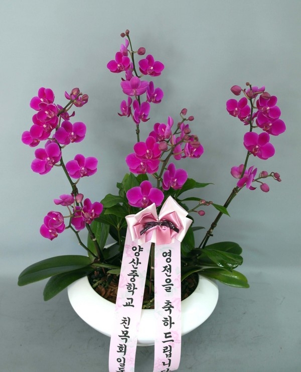 9��2��(������)