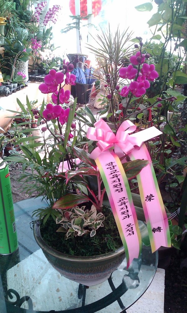 9��2��(������)