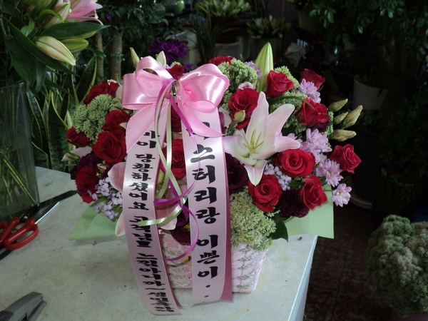 9��4��(������)