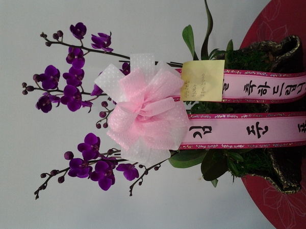 9��4��(������)