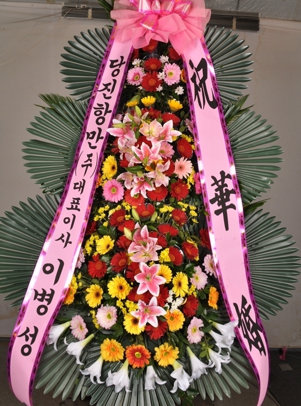 9��4��(������)