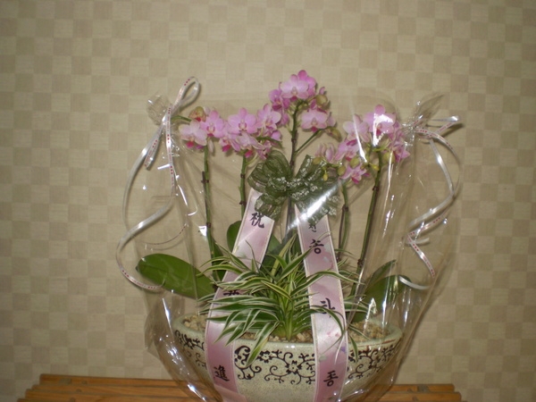 9��4��(�����ڴ�)