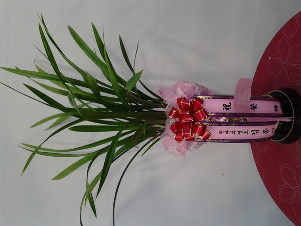 9��4��(��������)