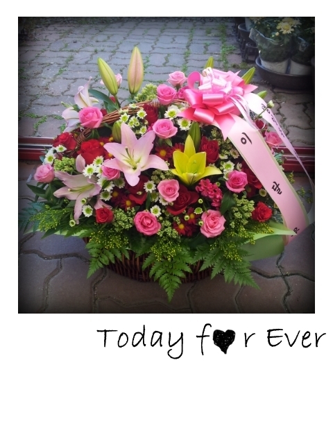 9��4��(������)