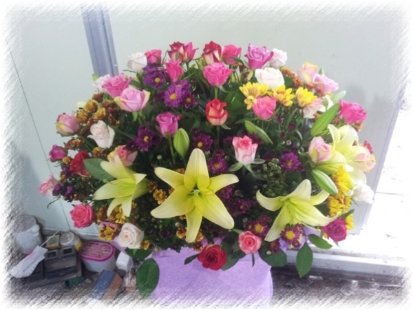 9��8��(�Ͽ���)