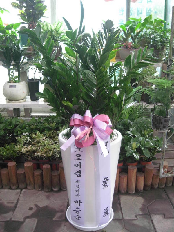 9��8��(�Ͽ���)