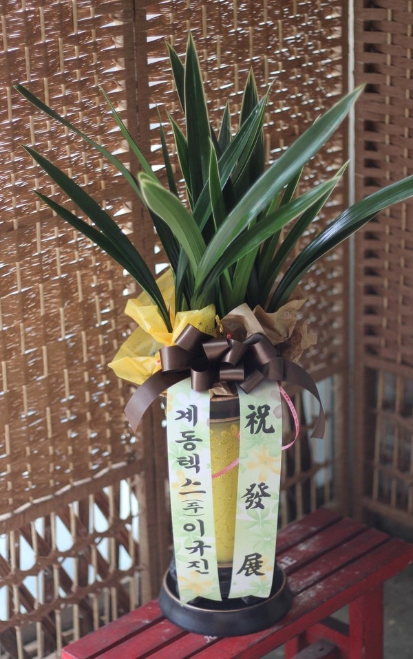 9��8��(�Ͽ���)