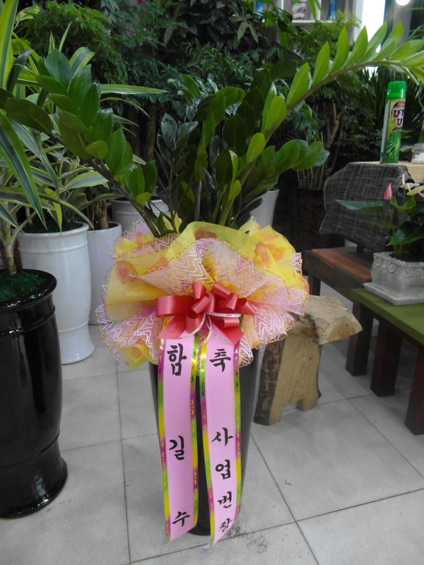 9��8��(�Ͽ���)